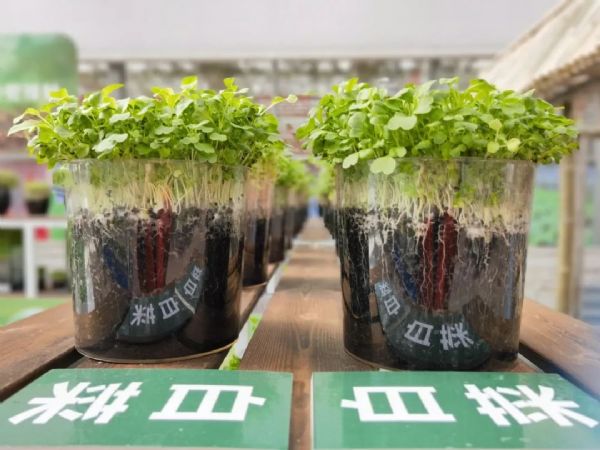 內(nèi)蒙古通遼和佑首屆農(nóng)業(yè)嘉年華